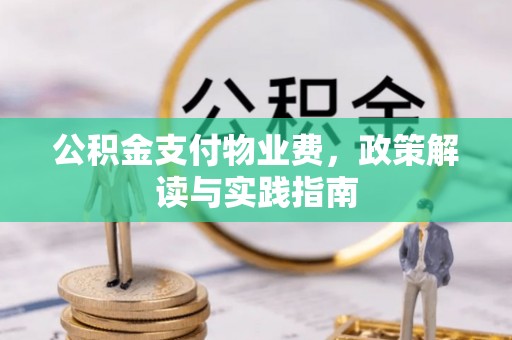 伸港公积金支付物业费，政策解读与实践指南