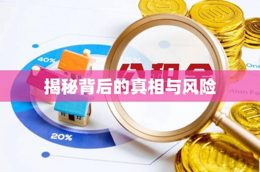 伸港揭秘背后的真相与风险