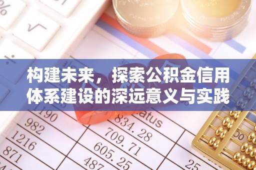 伸港构建未来，探索公积金信用体系建设的深远意义与实践路径