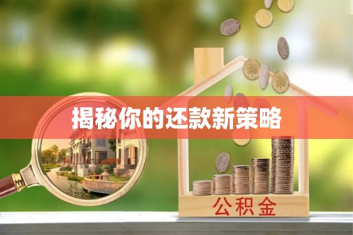 伸港揭秘你的还款新策略