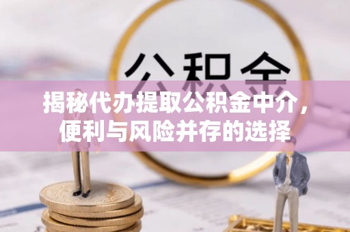 伸港揭秘代办提取公积金中介，便利与风险并存的选择