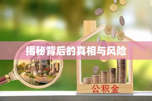 伸港揭秘背后的真相与风险