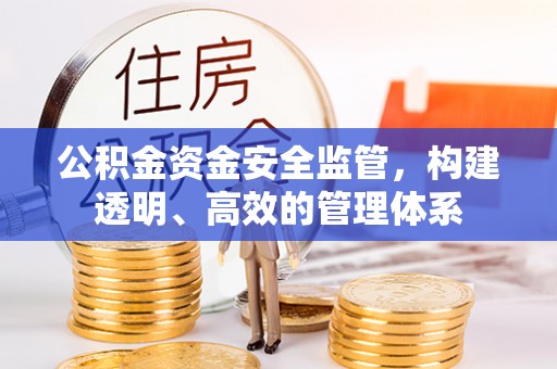 伸港公积金资金安全监管，构建透明、高效的管理体系