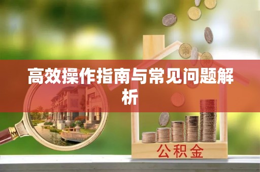 伸港高效操作指南与常见问题解析