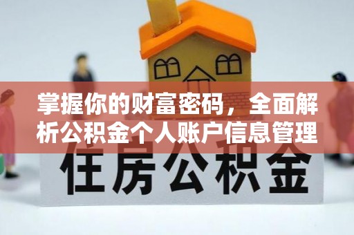 伸港掌握你的财富密码，全面解析公积金个人账户信息管理与优化