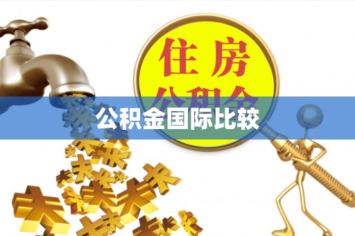 伸港公积金国际比较