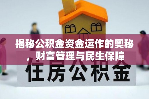 伸港揭秘公积金资金运作的奥秘，财富管理与民生保障