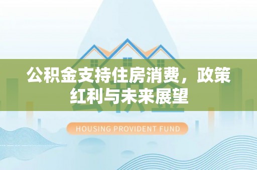 伸港公积金支持住房消费，政策红利与未来展望