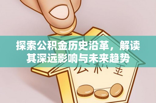 伸港探索公积金历史沿革，解读其深远影响与未来趋势