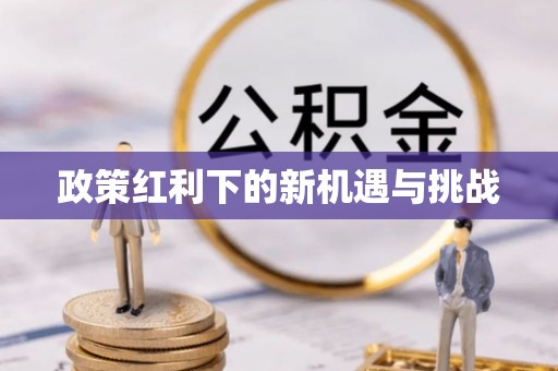 伸港政策红利下的新机遇与挑战