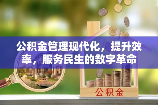 伸港公积金管理现代化，提升效率，服务民生的数字革命