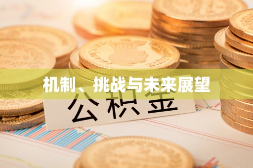 伸港机制、挑战与未来展望